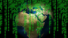 Organizar los resultados