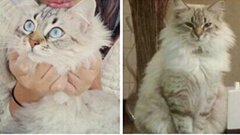 Tiempo para el relax