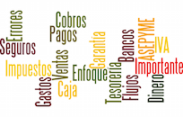 Control de los flujos de caja