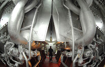 vivir un proyecto con pasión