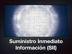 SSI Suministro Inmediaot Información asepyme