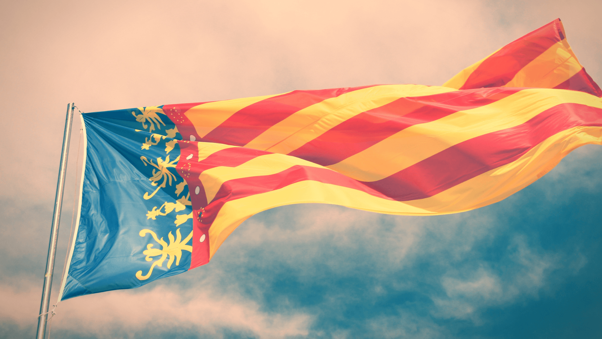 Donaciones en vida de la comunidad valenciana 